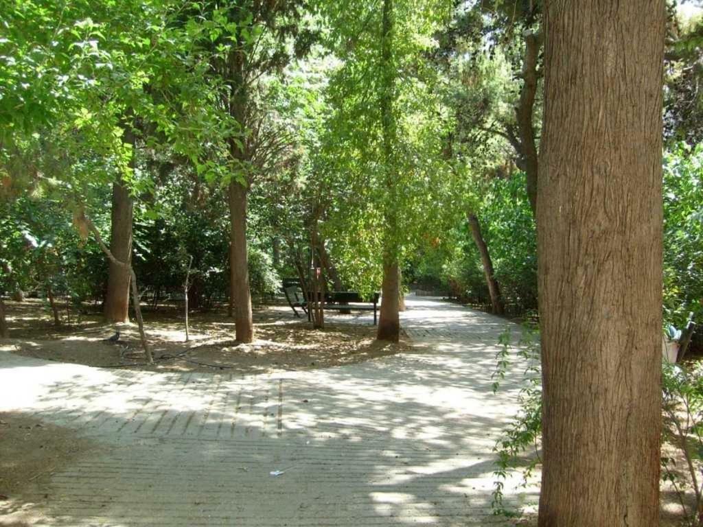 Myth2 - Hike Around Ancient Panathenaic Stadium Near Metro With View Of Big Park Lejlighed Eksteriør billede