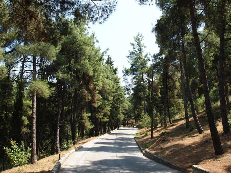Myth2 - Hike Around Ancient Panathenaic Stadium Near Metro With View Of Big Park Lejlighed Eksteriør billede