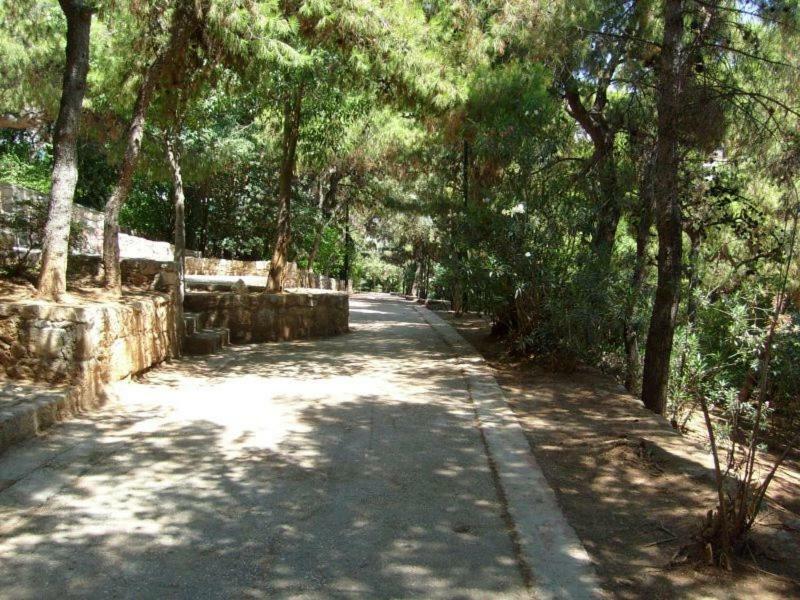 Myth2 - Hike Around Ancient Panathenaic Stadium Near Metro With View Of Big Park Lejlighed Eksteriør billede